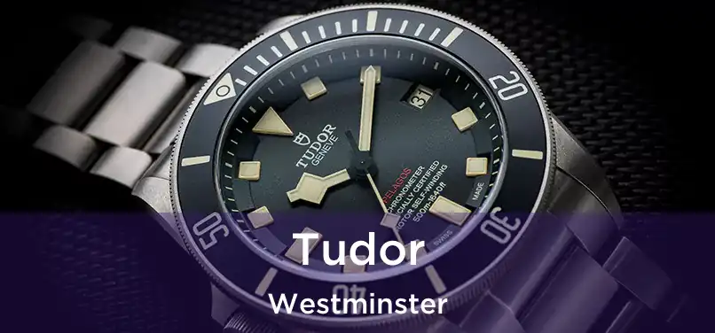 Tudor Westminster